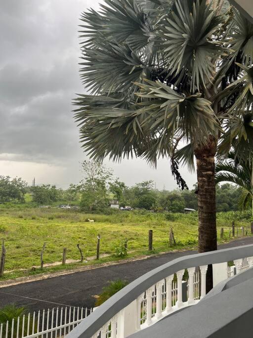 Mayaguez Spacious 3 Bedroom Villa Exterior foto